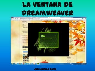 La ventana de
Dreamweaver




   Juan Camilo Dams
 