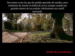 Son tantas cosas las que he podido aprender de ustedes, pero realmente de mucho no habrá de servir, porque cuando me guarden dentro de esa maleta, infelizmente me estaré muriendo . Jardin du Luxembourg 