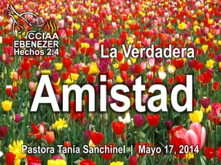 La Verdadera
Amistad
Pastora Tania Sanchinel | Mayo 17, 2014
 