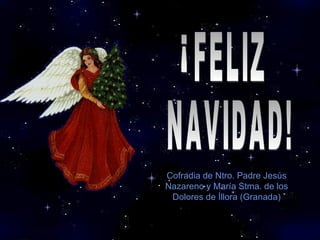 Cofradia de Ntro. Padre Jesús Nazareno y María Stma. de los Dolores de Íllora (Granada) ¡ FELIZ NAVIDAD! 
