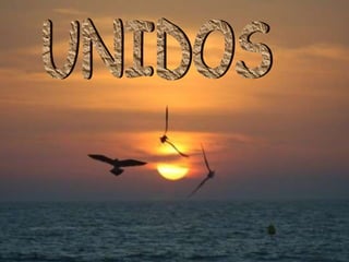 UNIDOS 