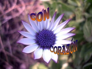 CORAZÓN CON 