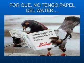 POR QUE, NO TENGO PAPEL DEL WATER… 