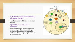 • EJEMPLO 1 bebidas alcohólicas y
benzodiacepinas
• las bebidas alcohólicas contienen
etanol
• EJEMPLO 2 cannabis sativa o
marihuana
• Los cannabinoides pueden activar los
receptores por el consumo de drogas a
activarse endógenamente mediante
endocannobinoides que se producen en
el mismo cuerpo.
 