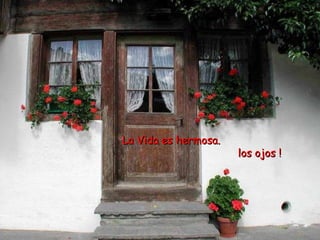 La Vida es hermosa. ¡ Abre bien los ojos !