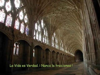 La Vida es Verdad. ¡ Nunca la traiciones !
