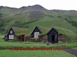 La Vida es emocionante. ¡ Mantente curioso !