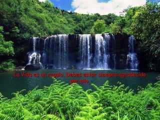 La Vida es un regalo. Debes estar siempre agradecido por ello.