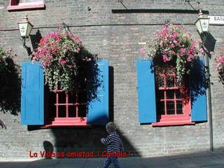 La Vida es amistad. ¡ Cuídala !