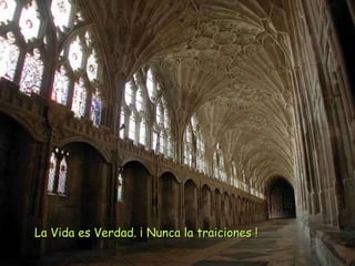 La Vida es Verdad. ¡ Nunca la traiciones !