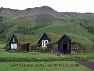 La Vida es emocionante – mantén tu curiosidad! 