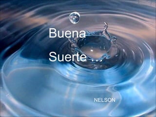 Buena   Suerte  … NELSON 