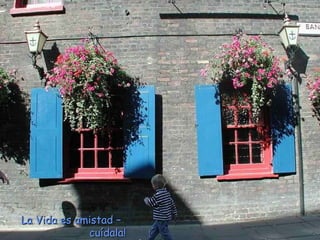 La Vida es amistad – cuídala!