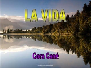 LA VIDA Cora Cané SEGUIR CON EL MOUSE 
