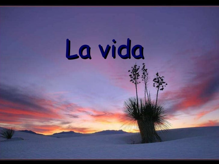LA VIDA