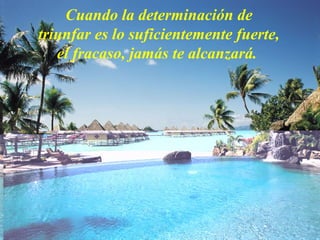 Cuando la determinación de
triunfar es lo suficientemente fuerte,
el fracaso, jamás te alcanzará.
 