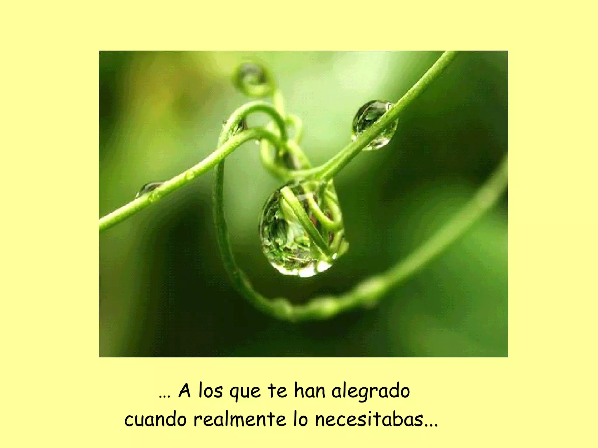 …   A  los que te han alegrado cuando realmente lo necesitabas ...   