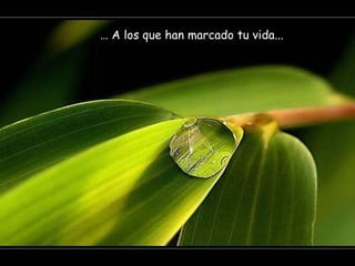 …  A los que han marcado tu vida... 