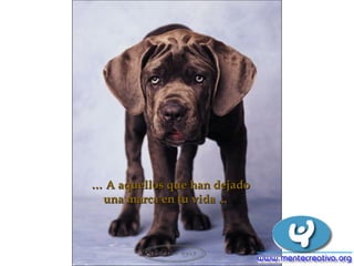 … A aquellos que han dejado
 una marca en tu vida ...
 