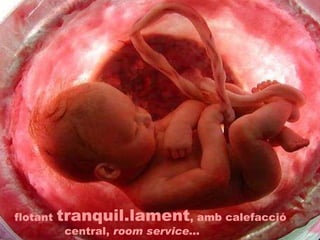 flotant  tranquil.lament , amb calefacció  central,  room service ... 