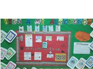 La vida a mi alrededor.