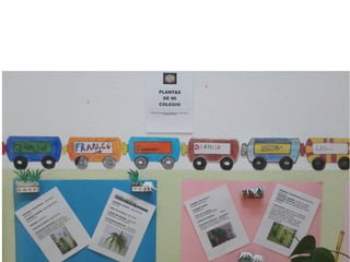 La vida a mi alrededor.