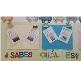 La vida a mi alrededor.