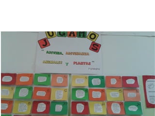 La vida a mi alrededor.