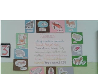 La vida a mi alrededor.