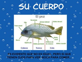 SU CUERPO




 ES EVIDENTE QUE NO ES IGUAL, PERO SI QUE
TIENEN OJOS PARA VER, BOCA PARA COMER...
 