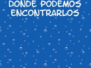 DONDE PODEMOS
ENCONTRARLOS
 