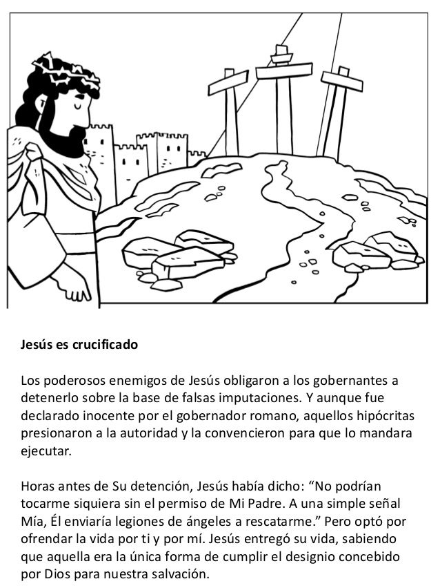 La Vida De Jesus Para Ninos Libro Para Colorear