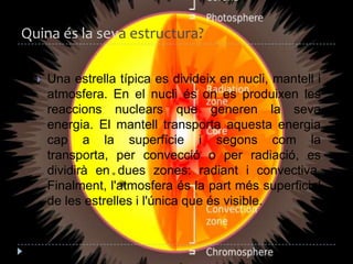 Quina és la sevaestructura?Una estrella típica es divideix en nucli, mantell i atmosfera. En el nucliéson es produixen les reaccionsnuclears que generen la sevaenergia. El mantell transporta aquestaenergiacap a la superfície i segonscom la transporta, per convecció o per radiació, es dividirà en dueszones: radiant i convectiva. Finalment, l'atmosferaés la partmés superficial de les estrelles i l'única que és visible.
