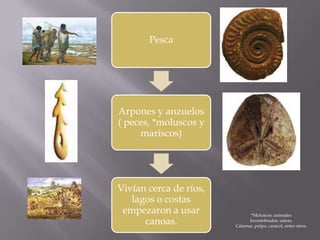 *Moluscos: animalesInvertebrados: ostras,Calamar, pulpo, caracol, entre otros.