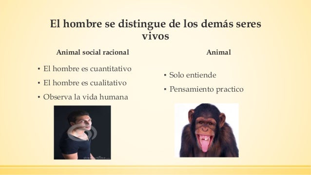 Que Nos Diferencia De Los Animales Filosofia www.vrogue.co