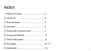 ÍNDEX
1- Feines del camp……………………………..3
2- Les terres………………………....................4
3- Què conreaven……………………………….5
4- Les eines……………………………………...6
5- Produir per al consum diari………………….7
6- La seva alimentació…………………………..8
7- Tècnica del guaret…………………………....9
8- Any pagès…………………………………….10, 11
9- Vestimenta…………………………………….12 2
 