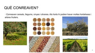 QUÈ CONREAVEN?
· Conreaven cereals, llegums, vinyes i oliveres. Als horts hi podien haver moltes hortalisses i
arbres fruiters.
5
 