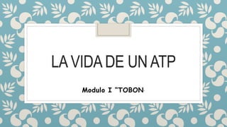 LA VIDA DE UN ATP
Modulo I “TOBON”
 