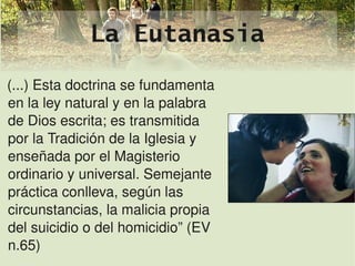 La Eutanasia
(...) Esta doctrina se fundamenta 
en la ley natural y en la palabra 
de Dios escrita; es transmitida 
por la Tradición de la Iglesia y 
enseñada por el Magisterio 
ordinario y universal. Semejante 
práctica conlleva, según las 
circunstancias, la malicia propia 
del suicidio o del homicidio” (EV 
n.65)
                              
 