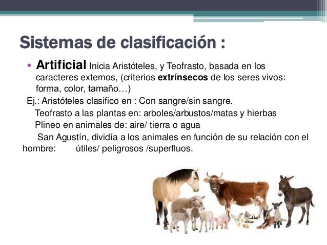 Sistema De Clasificacion Artificial En Biologia