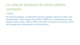 • Clima
De clima templado, se presentan veranos cálidos e inviernos fríos, con
precipitación media anual entre 5001 y 2000 mm, y temperaturas que
pueden variar entre -30ºC y 30ºC.2 La nieve es común en la parte norte
de la región pero disminuye en el extremo su
La vida en bosques de clima calidos
concepto
 