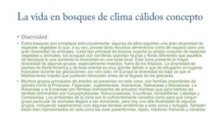 • Diversidad
• Estos bosques son complejos estructuralmente; algunos de ellos soportan una gran diversidad de
especies vegetales lo que, a su vez, provee tanto recursos alimenticios como de espacio para una
gran diversidad de animales. Cada tipo principal de bosque soporta su propio conjunto de especies
vegetales y animales; los bosques con coníferas soportan faunas y floras diferentes que aquellos
de deciduos lo que aumenta la diversidad en una base local. Esta zona presenta la mayor
diversidad de algunos grupos, especialmente insectos, fuera de los trópicos. La diversidad de
plantas de Norte América y de Asia oriental es muy grande debido a que se refugiaron en lugares
tropicales durante las glaciaciones; por otro lado, en Europa la diversidad es baja ya que el
Mediterráneo impidió que pudieran retroceder antes de la llegada de los glaciares.
• Muchos grupos principales de árboles se presentan en esta zona, con familias importantes de
árboles como la Pinaceae, Fagaceae, Juglandaceae, Aceraceae, Salicaceae y Betulaceae. La
Rosaceae y la Ericaceae son familias dominantes de arbustos mientras que para hierbas las
familias dominantes son Caryophyllaceae, Ranunculaceae, Cruciferae, Umbelliferae, Labiatae y
Compositae. Los ambientes de la zona son lo suficientemente variados como para que ningún
grupo particular de animales llegara a ser dominante, pero hay una alta diversidad de algunos
grupos, incluyendo salamandras (con algunas familias endémicas a esta zona) y tortugas. También
están bien representados en esta zona las aves paseriformes, topos, roedores menores y venados.
 