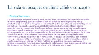 • Efectos Humanos
Las poblaciones humanas son muy altas en esta zona (incluyendo muchas de las ciudades
mayores del planeta), que se caracteriza por ser climática mente agradable y muy
productiva de vida animal y vegetal cosecha ble. Debido a que el suelo es excelente para la
agricultura, muchos bosques fueron cortados hace mucho tiempo en todas partes.
Además, muchas especies de árboles son valiosos para madera así que estos bosques
estuvieron siendo afectados mucho antes de la agricultura extensiva. En algunas áreas,
están apareciendo crecimientos secundarios de muchas de las especies propias de la zona
aunque los humanos han estado favoreciendo los pinares a través de plantaciones
comerciales y de los programas de re forestación. el bosque se caracteriza por su cosas
como por ejemplo el bosque tropical lluvioso es el que sus zonas llueve casi todo el año
eso lo caracteriza, el bosque montado nublado se caracteriza por que es nublado. el
bosque templado se caracteriza por sus arboles cada bosque tiene sus propios arboles. Los
de Honduras son de hoja ancha por eso se caracteriza por sus arboles.
 