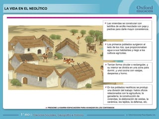 La vida en el neolitico | PPT