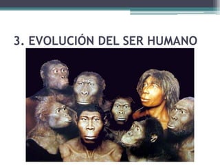 Nos centramos en la Prehistoria
• ¿Qué periodos abarca la Prehistoria?
 ▫ Podemos dividir la prehistoria en dos grandes
   periodos:
    Edad de Piedra (desde el 2.500.000 a.C. hasta el
     3500 a.C.).
    Edad de los Metales (desde el 3500 a.C. hasta el I
     milenio a.C.).
 