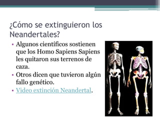 1.2. El proceso de hominización
• El ser humano es un
  primate y por tanto,
  tiene un antepasado
  común al mono. La
  hominización es el
  proceso evolutivo
  del hombre hasta
  alcanzar las
  características
  propias de las
  personas.
 