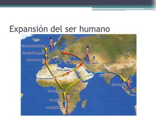 1.2. El proceso de hominización
• Australopitecus. Homínido que
  vivió desde el 5.000.000 a.C. hasta
  1.000.000 a.C. Pasaba cierto
  tiempo en los árboles (se asemeja al
  mono). No fabrica ninguna
  herramienta y vivió en África.
 