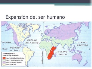 La evolución humana
 