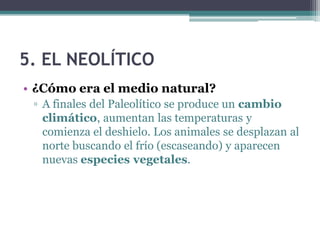 2.1. Economía y sociedad
• ¿Cómo era el medio natural?
 ▫ El clima era muy frío.
 