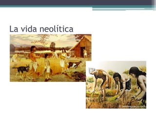 Una cueva paleolítica
 